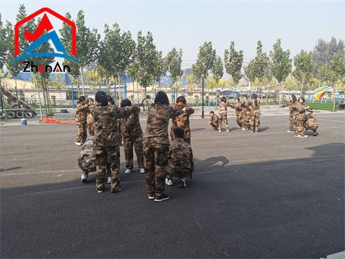 Refractory Mortar For Ladle Refractory Mortar For Ladle