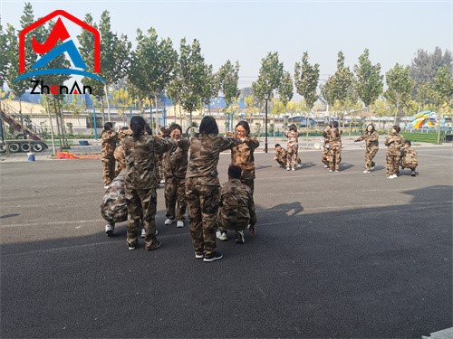 Refractory Mortar For Ladle Refractory Mortar For Ladle